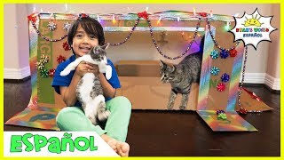 Ryan construye Box Fort House para los gatos