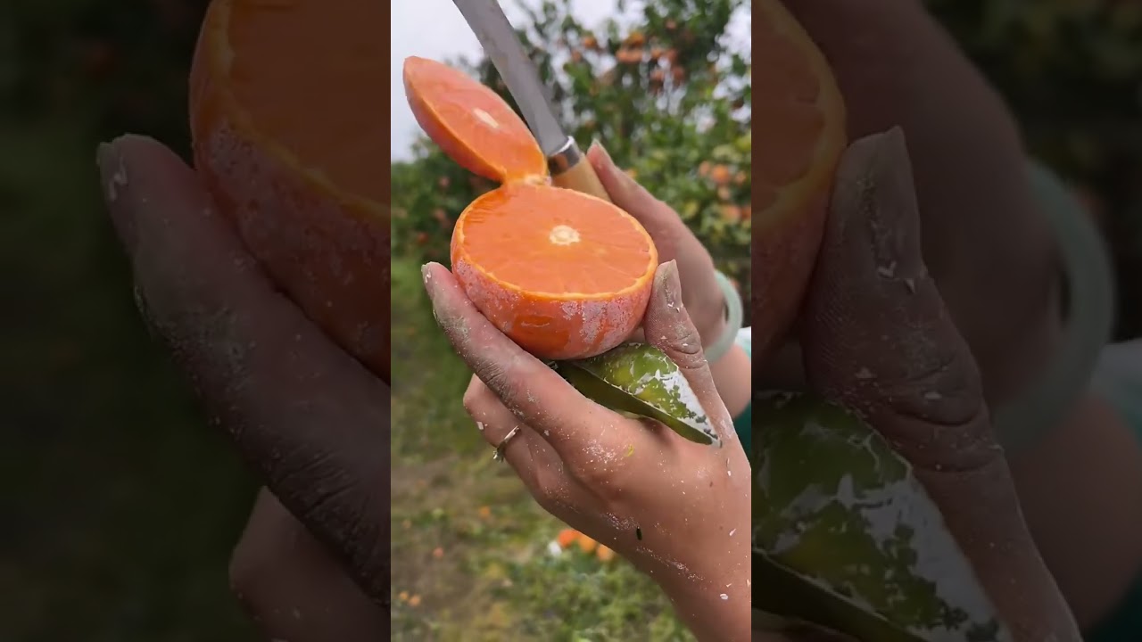 🤤Juciy orange farm | 