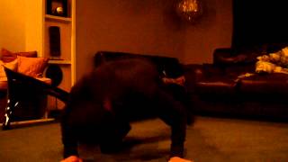 windmill to headspin practice
