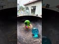 Excite Marble Run ⭐ Fun marble run taught by pros ⑩