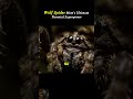 Wolf Spider Mom’s Ultimate Parental Superpower