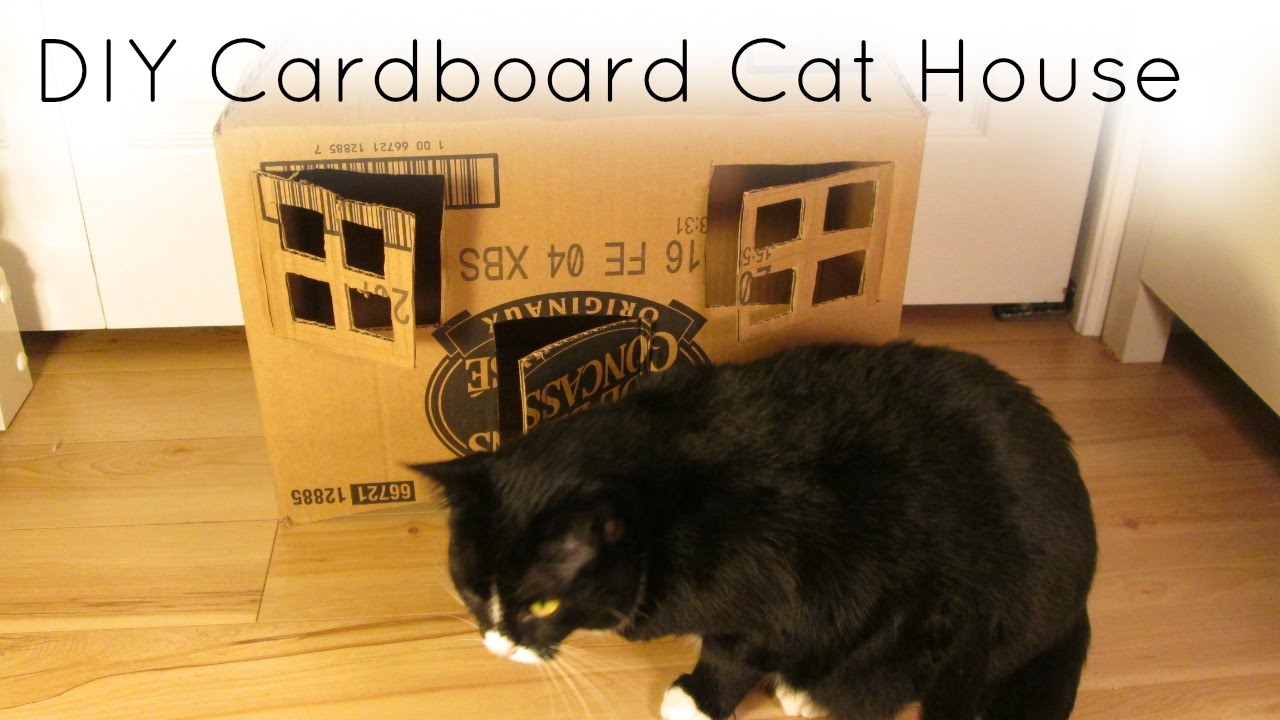 cottage 2 Cardboard Pet House | Kat's Animal Channel