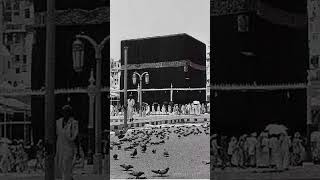 A Very And Picture Of