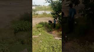 road accident truck driver Jharsuguda Sambalpur express highway# you tube video  short video