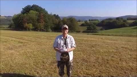 Crash into a tree with DJI Phantom Standard 3