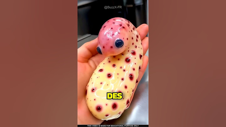 Top 5 adorable animals… but 100% lethal 😳💀