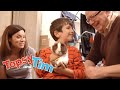 🐶 The Greatest Animal Friends Moments 🐶 | Topsy &amp; Tim | Cartoons For Kids | WildBrain Kids