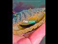 🔥 Title;Man Saves Pregnant Scallop &amp; What Happened Next Will Melt Your Heart❤️|Emotional Ocean Story