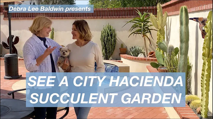 See a City Hacienda Succulent Garden