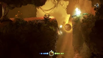 Ori And The Blind Forest Definitive Edition Bug