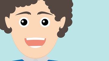 Iepenmienskip Explainer