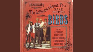 Vignette de la vidéo "The Birds - No Good Without You Baby"