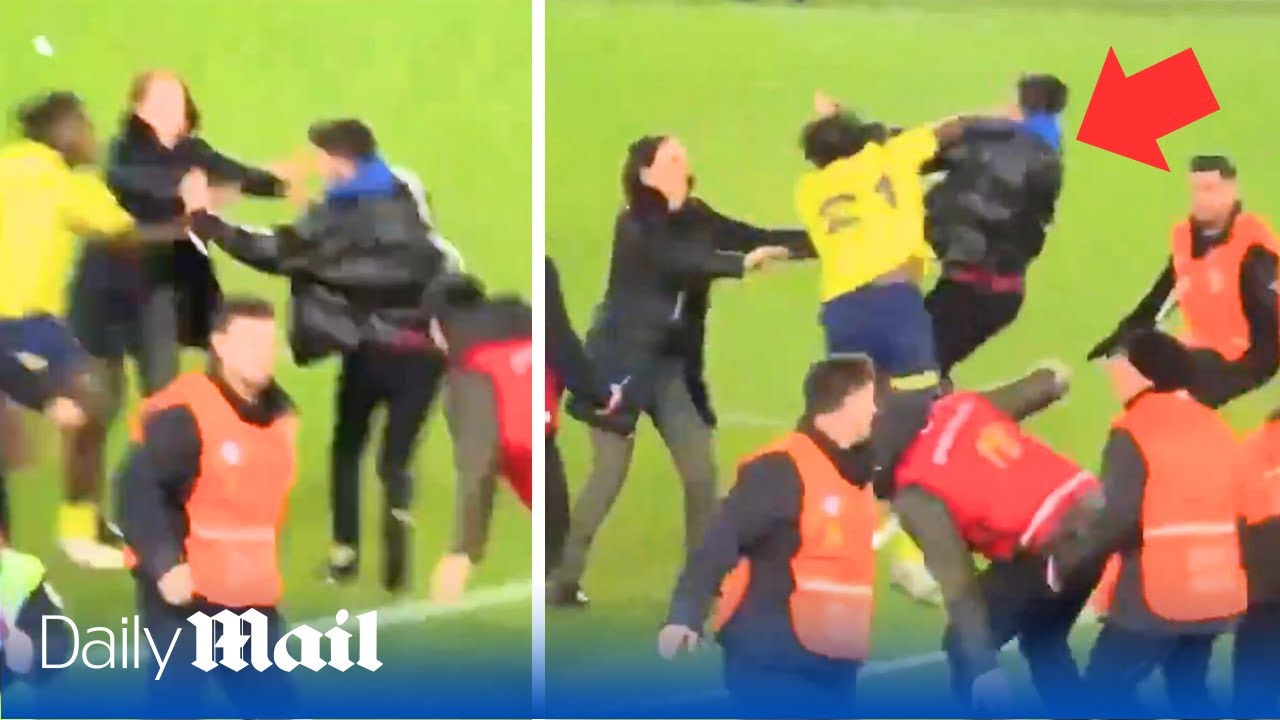 Violent Trabzonspor fans storm pitch and attack Fenerbahce players after Super Lig clash