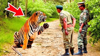 The tiger begged the soldiers for help, but the reason surprised everyone!