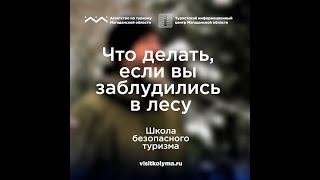 Школа безопасного туризма: что делать, если вы заблудились в лесу