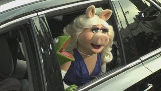 Tina Fey And Ricky Gervais Hang Out With Muppets At Muppets Most Wanted Premiere