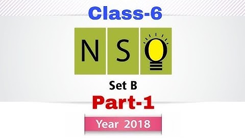 NSO Class-6 question paper with answers. Year 2018-19 SET-B.