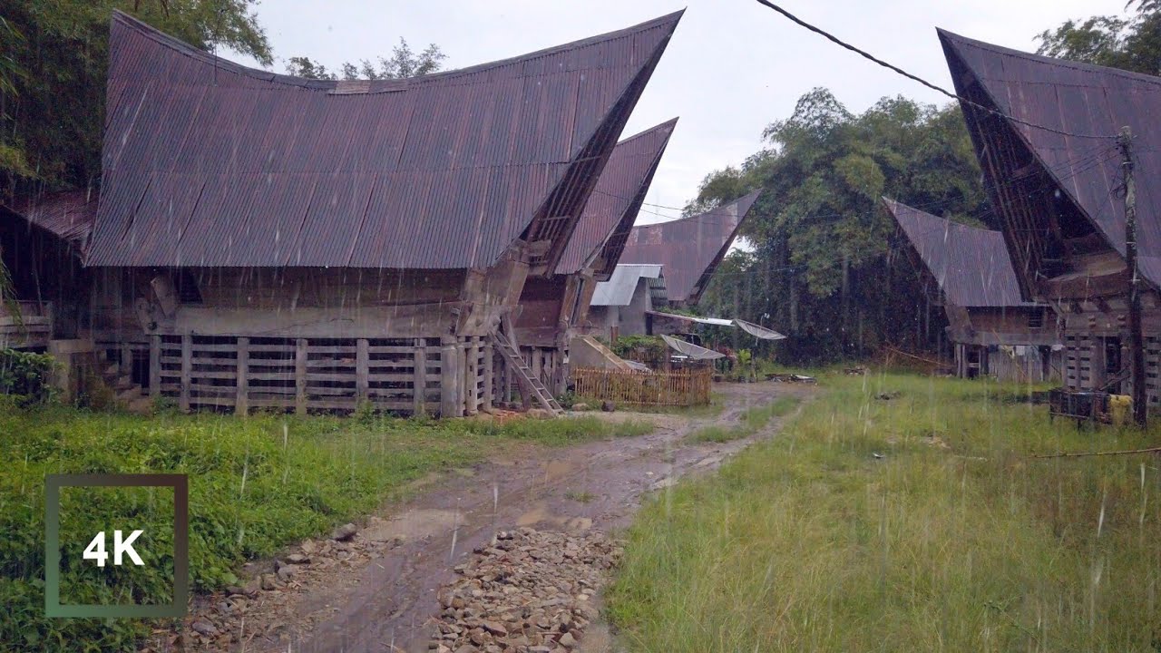 Hidden Tribe in Indonesia, Beautiful Rain Walk in Village, Relaxing and Sleep Deeply