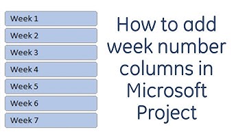 How to add week number columns in Microsoft Project