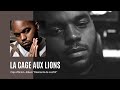 Lalcko  la cage aux lions  feat seth gueko escobar macson  despo rutti clip