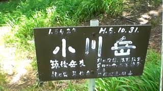 熊本緑川支流「小川岳(舞岳登山口)」