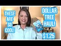 DOLLAR TREE HAUL | COOL NEW FINDS | $1.25 | WOW | THE DT NEVER DISAPPOINTS😁 #haul #dollartree