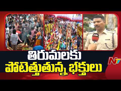 Tirumala: గరుడ సేవ.. తిరుమలకు పోటెత్తుతున్న భక్తులు | Special Report | NTV Telugu - NTVTELUGU