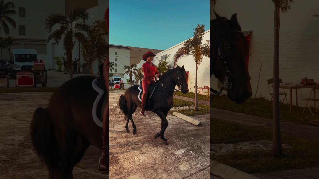 HAY QUE ATREVERSE A MONTAR ESE CABALLO PASO FINO COLOMBIANO #eljefe