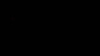 100_0070.MOV