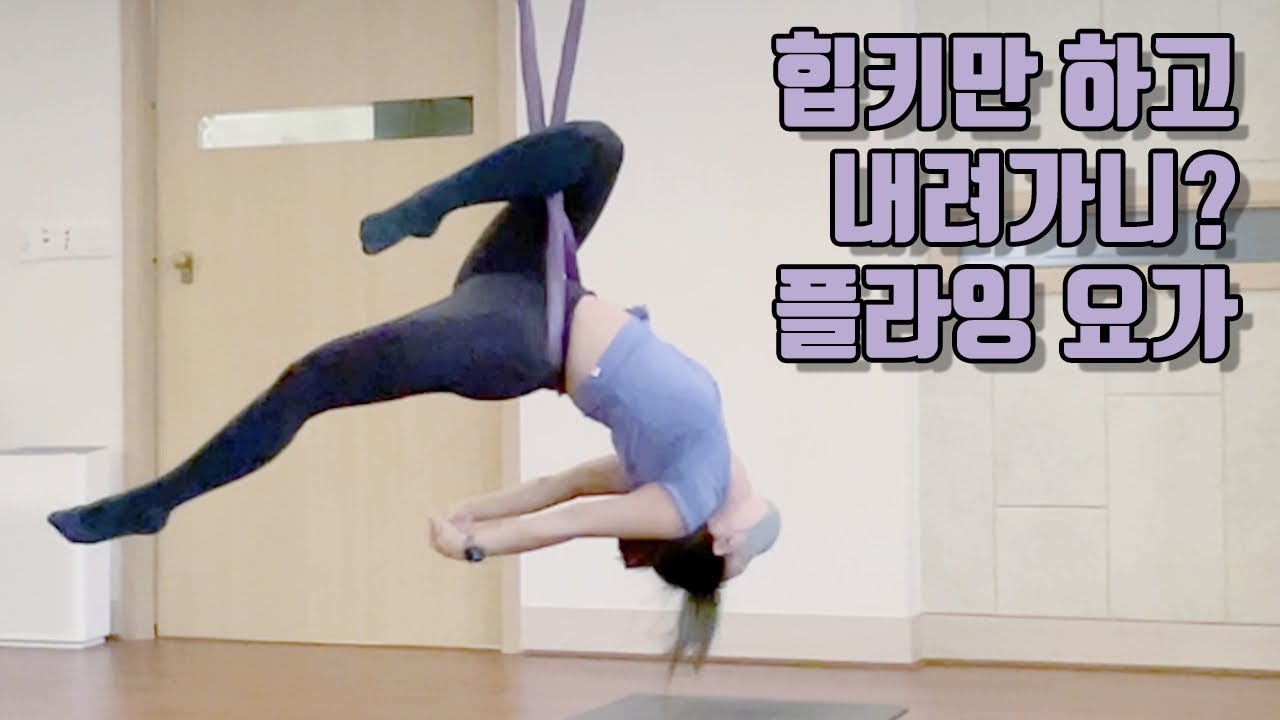 [플라잉요가]낮은 천고 가능 힙키에서 피닉스까지 수업에 바로 적용!