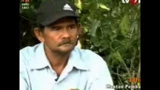 Download lagu Telusur TV One Harimau Sumatra Diambang Kepunahan 2 Feb 2014