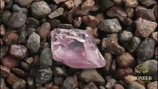 Protea Pink 30ct Diamond Auction