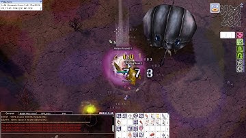 ROPH EXE - Dual Dagger Assassin Cross V.S MVP Phreeoni