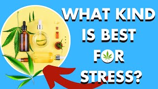 Cannabis 101 | Part 1: What Type of Cannabis is Best for Stress & Anxiety?
