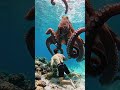 AI octopus fight #viral #trending #ai