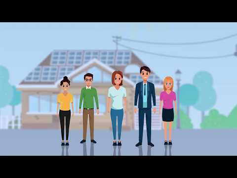 როგორ მუშაობს ნეტო აღრიცხვის პროგრამა?