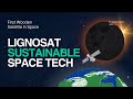 Sustainable Space Technology REVOLUTIONIZED with LignoSat