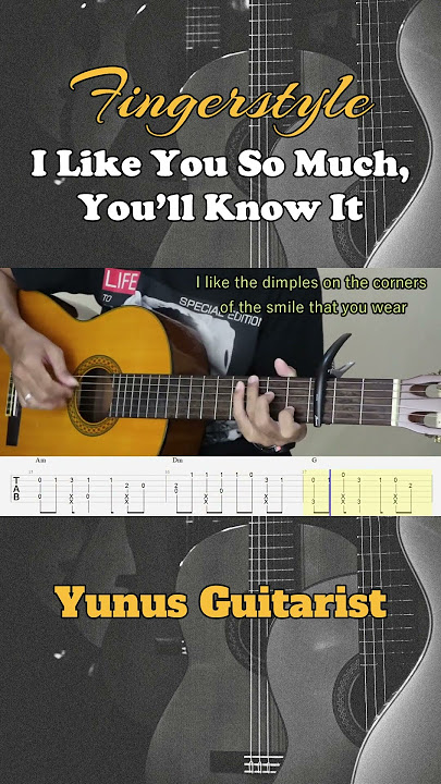 I Like You So Much, You’ll Know It - Fingerstyle Guitar TAB. Link full video on comment