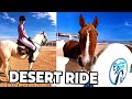 HORSEBACK RIDING in DESERT EGYPT - EQUESTRIAN DREAM