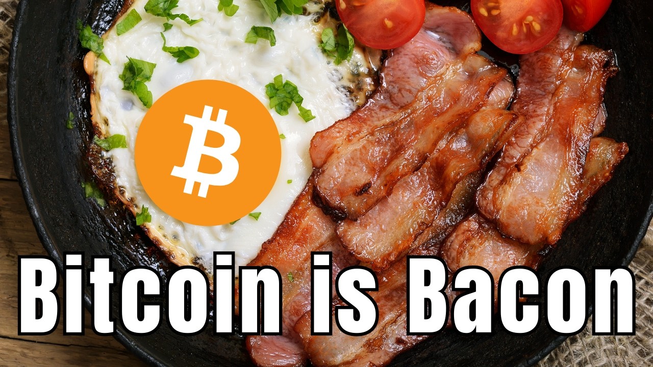 What I Learned Falling Down the Bitcoin Rabbit Hole - YouTube