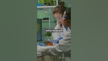 Plant Trait Retrieval Real Data  #sciencefather #researchawards #computervision #datainterpretation