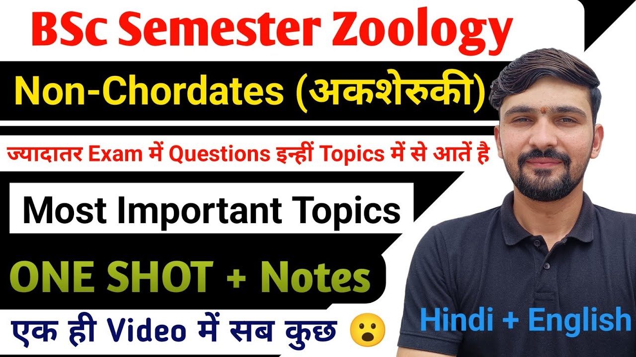 Non Chordates ONE SHOT | Important Topics | BSc Semester || By Dadhich Sir