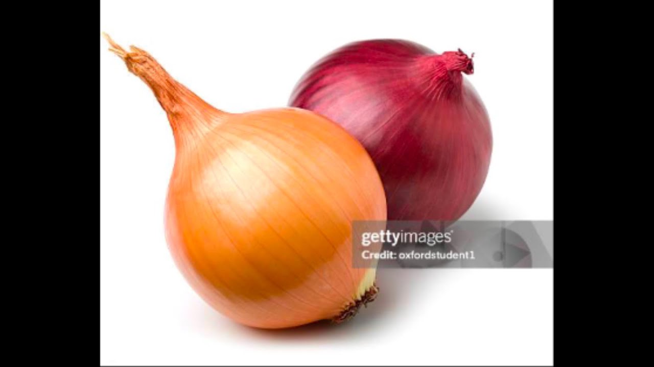 funny onion song funny onion song