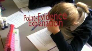 Bald Worm on Reading Comprehension Answers