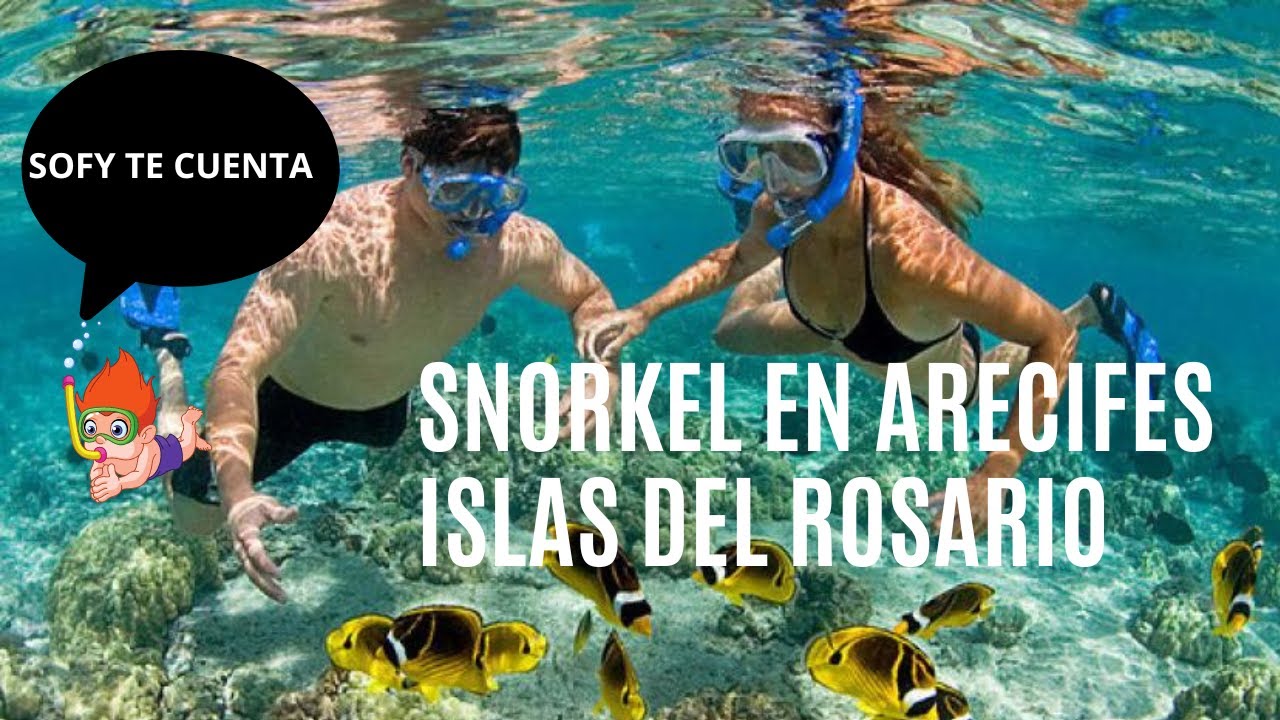 SNORKEL EN ARECIFES CORALINOS ISLAS DEL ROSARIO-CARTAGENA - YouTube