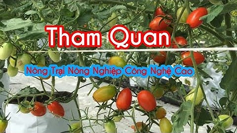 Tham Quan Khu Nông Trại Nông Nghiệp Công Nghệ Cao tp.HCM ( vlog 45 )