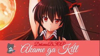 [Review] Обзор  аниме Убийца Акаме! Akame ga Kill![Melani Tsiberman]
