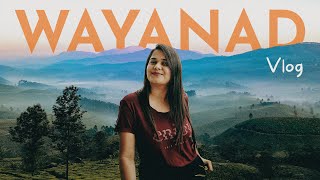 Wayanad Travel Vlog With Fam | Wayanad Tourist Places | Wayanad Travel Guide |Wayanad Village Resort