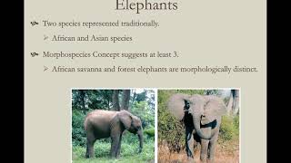 Evol  16 Species and Speciation