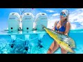 Swimming with SHARKS, Dolphin Fishing & 1200HP